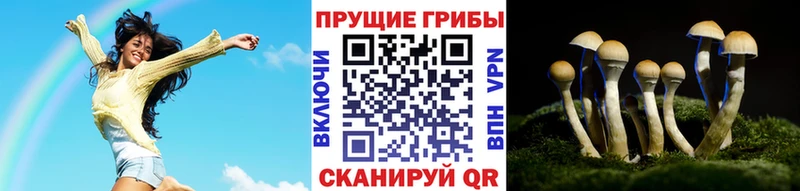 Псилоцибиновые грибы прущие грибы  Острогожск 