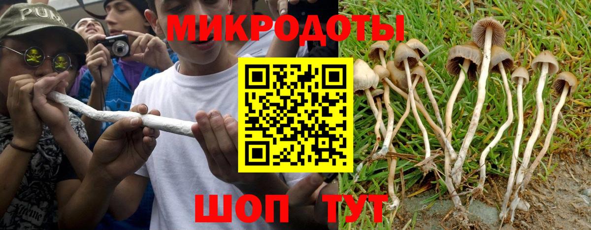Псилоцибиновые грибы Cubensis  Вход с VPN  Галлюциногенные грибы Psilocybe  Острогожск 